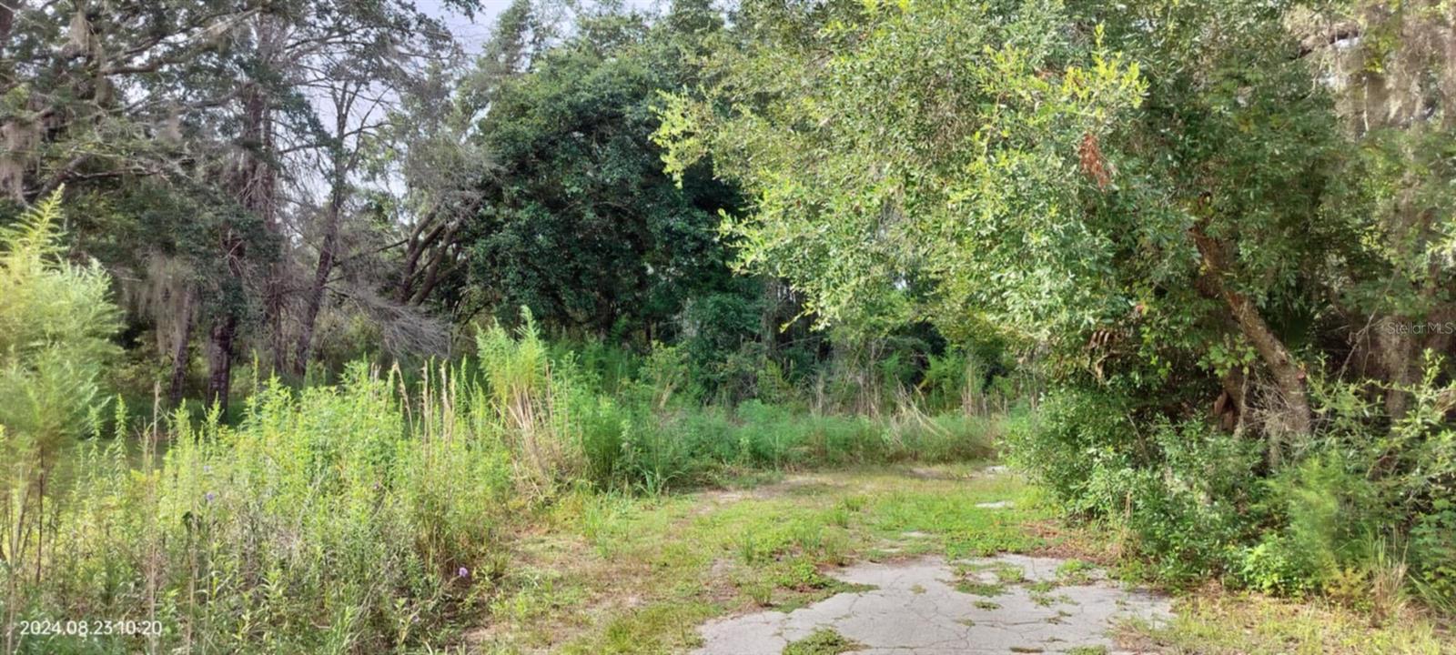 96 N SHELTERING OAKS DR, INVERNESS, FL, 34453