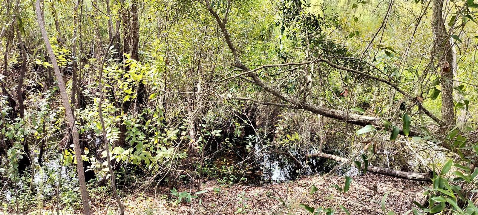 96 N SHELTERING OAKS DR, INVERNESS, FL, 34453