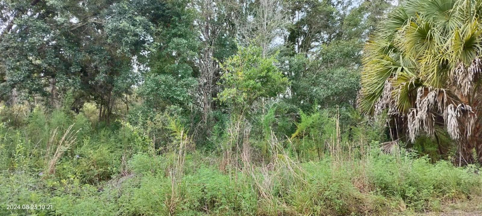 96 N SHELTERING OAKS DR, INVERNESS, FL, 34453