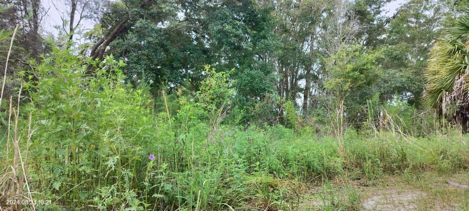 96 N SHELTERING OAKS DR, INVERNESS, FL, 34453