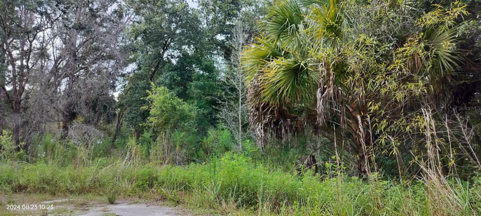 96 N SHELTERING OAKS DR, INVERNESS, FL, 34453