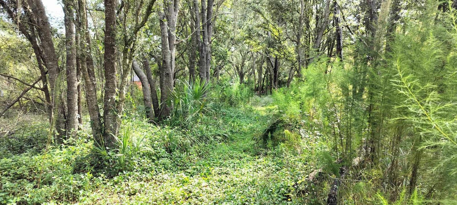 96 N SHELTERING OAKS DR, INVERNESS, FL, 34453