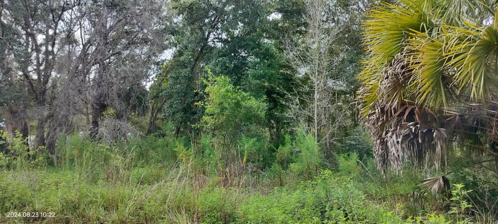96 N SHELTERING OAKS DR, INVERNESS, FL, 34453