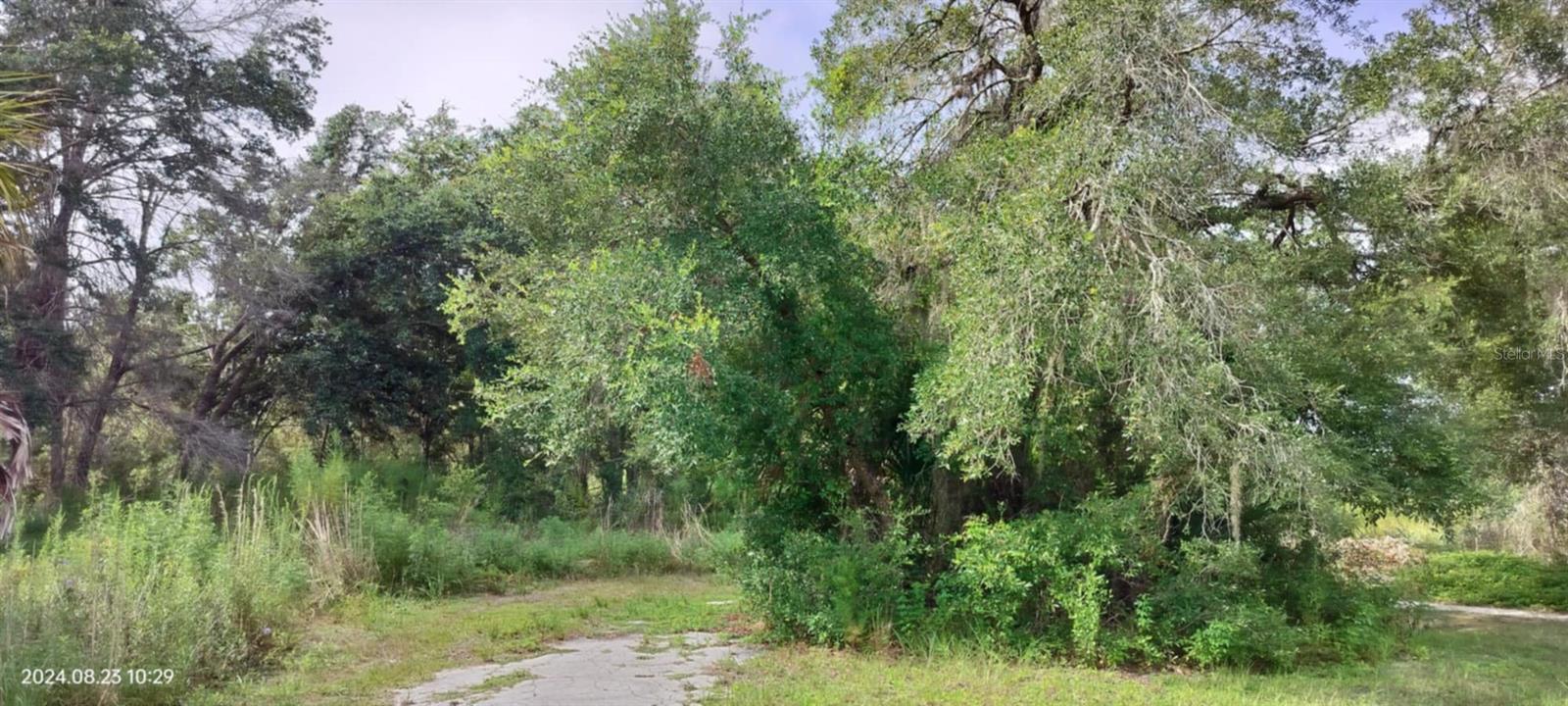 96 N SHELTERING OAKS DR, INVERNESS, FL, 34453