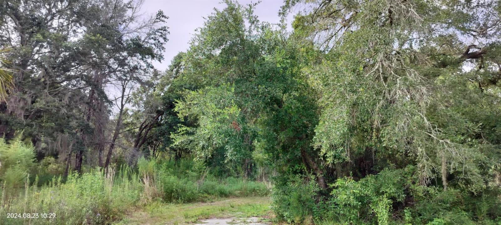 96 N SHELTERING OAKS DR, INVERNESS, FL, 34453