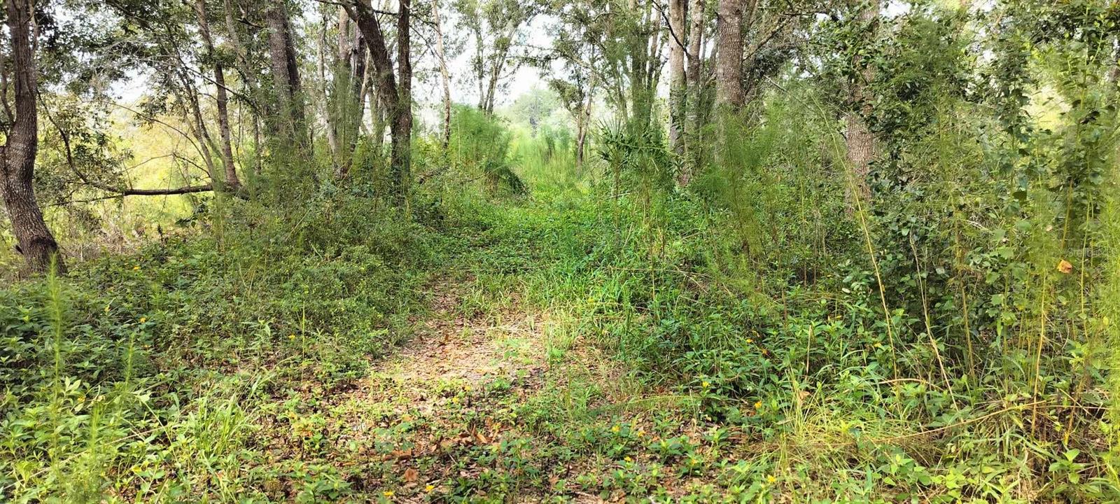 96 N SHELTERING OAKS DR, INVERNESS, FL, 34453