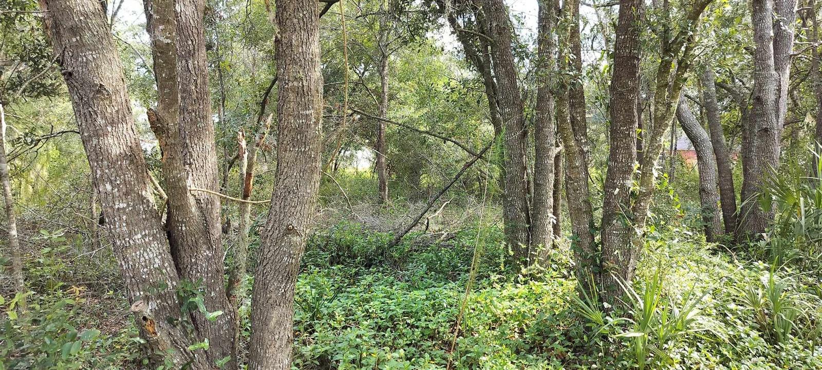 96 N SHELTERING OAKS DR, INVERNESS, FL, 34453