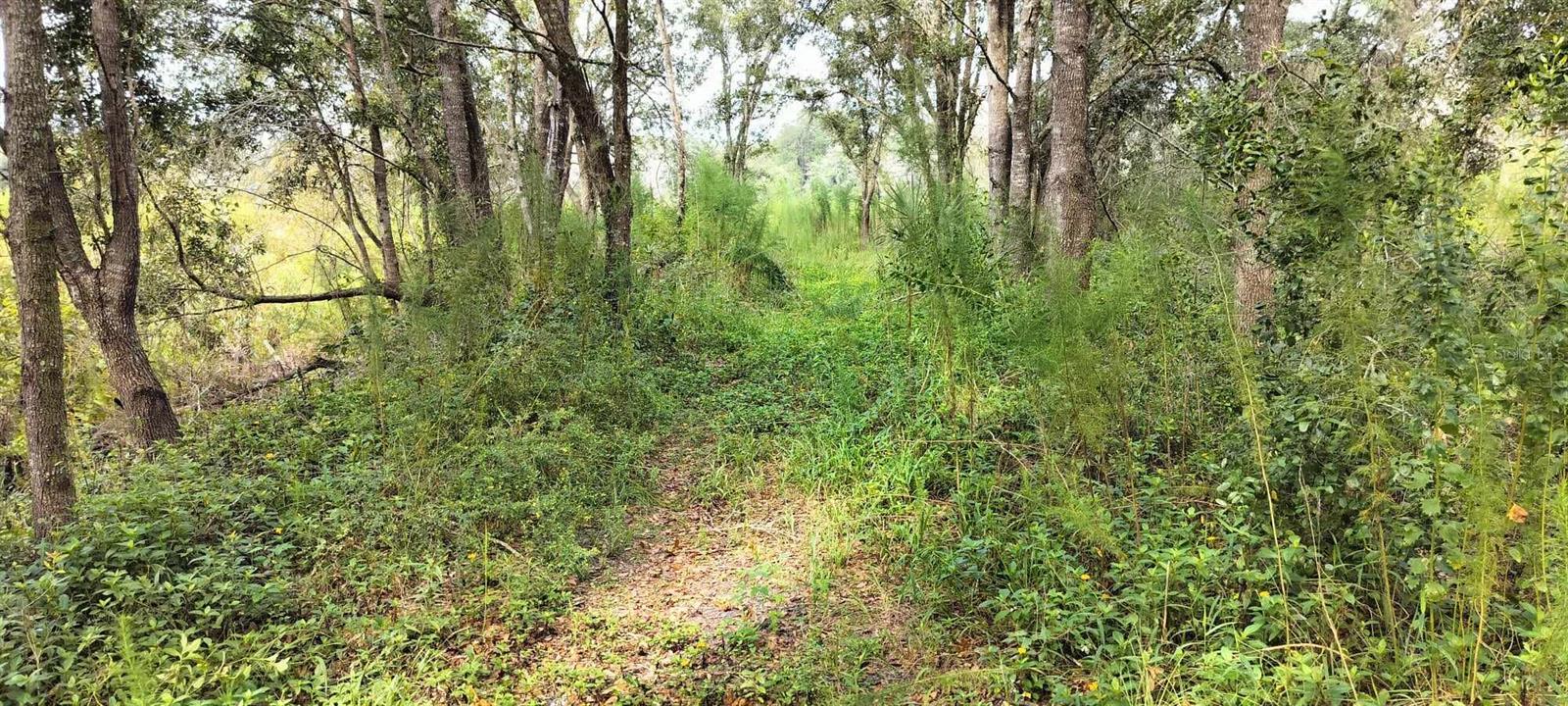 96 N SHELTERING OAKS DR, INVERNESS, FL, 34453
