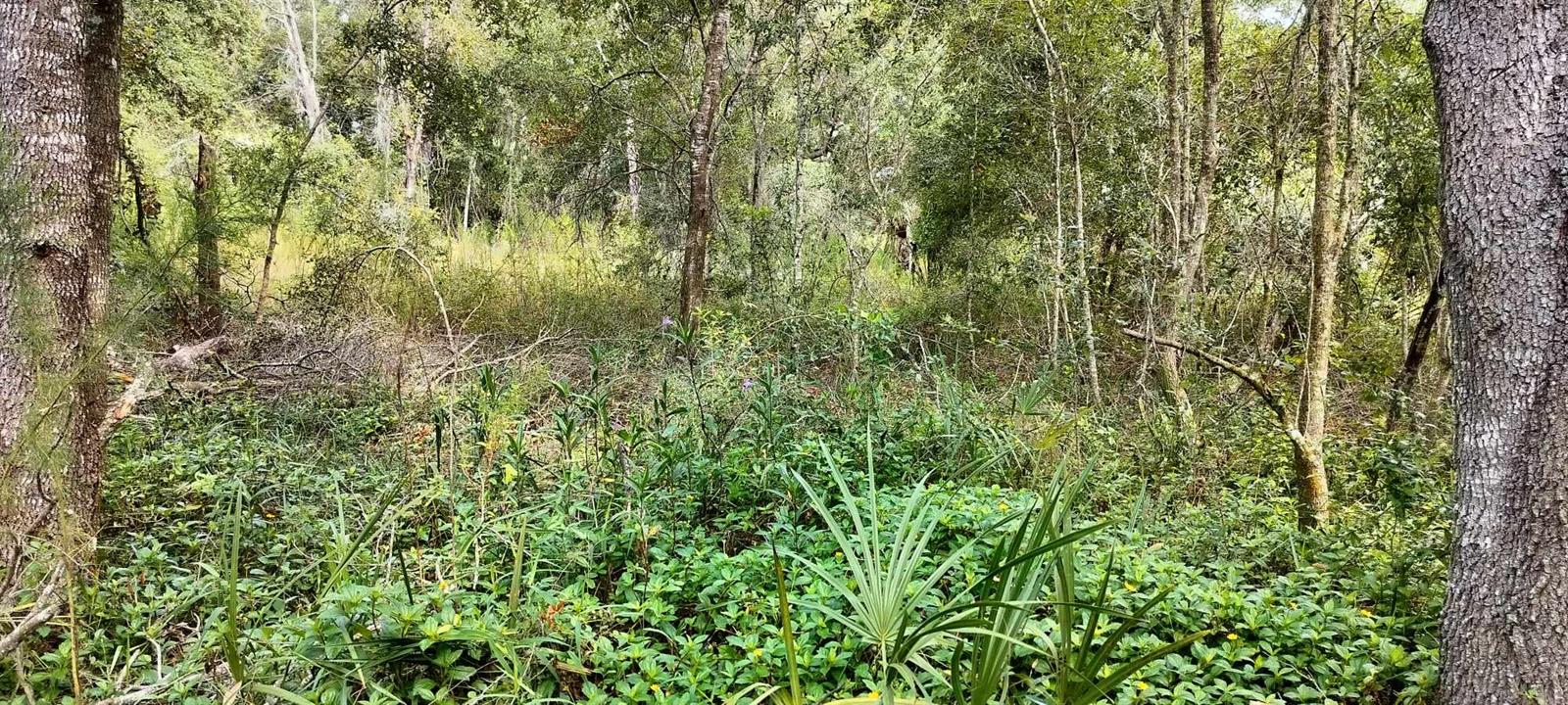 96 N SHELTERING OAKS DR, INVERNESS, FL, 34453