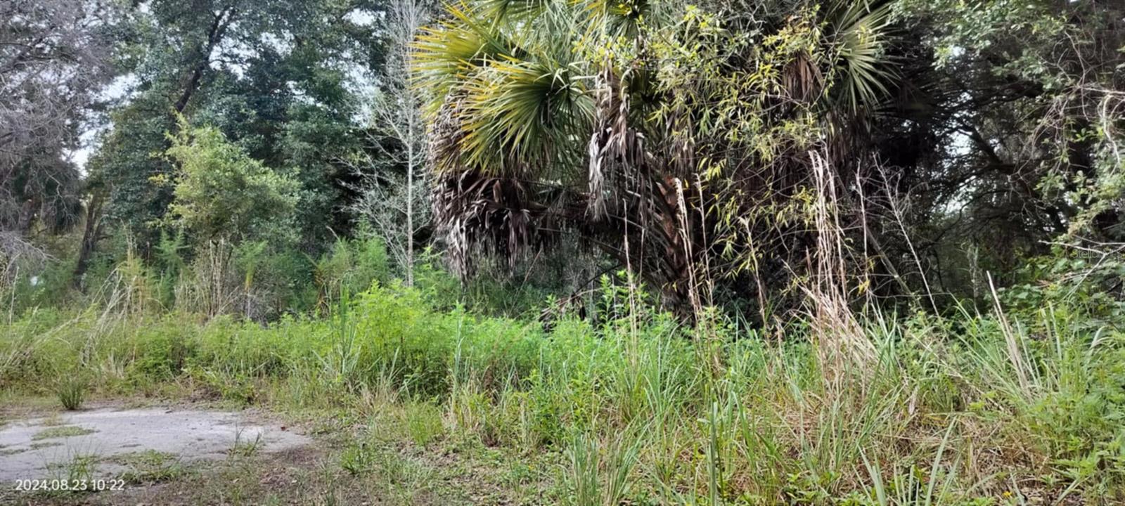 96 N SHELTERING OAKS DR, INVERNESS, FL, 34453