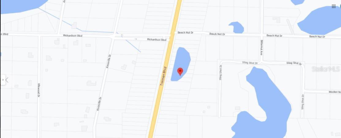 7338 TREIMAN BLVD, WEBSTER, FL, 33597