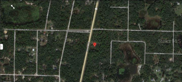 7338 TREIMAN BLVD, WEBSTER, FL, 33597