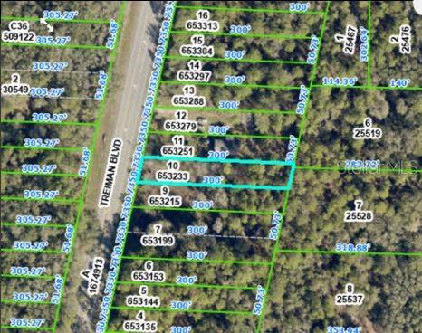 7338 TREIMAN BLVD, WEBSTER, FL, 33597