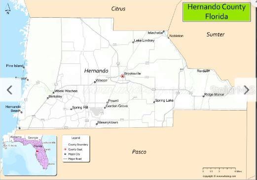 7338 TREIMAN BLVD, WEBSTER, FL, 33597