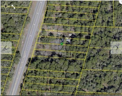 7338 TREIMAN BLVD, WEBSTER, FL, 33597