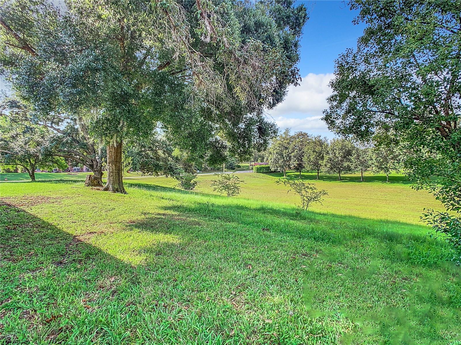 9375 BEARWALK PATH, WEEKI WACHEE, FL, 34613