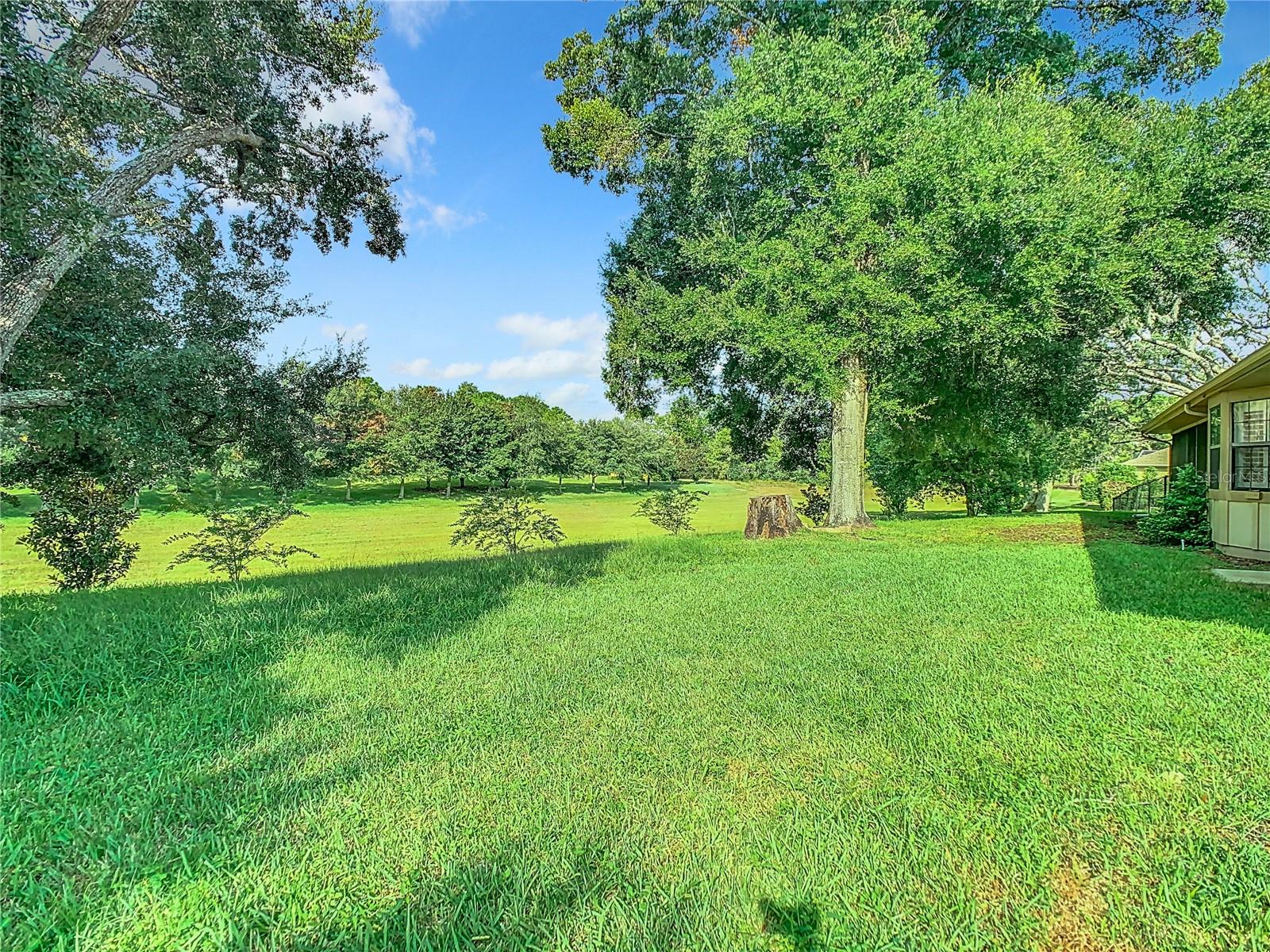 9375 BEARWALK PATH, WEEKI WACHEE, FL, 34613