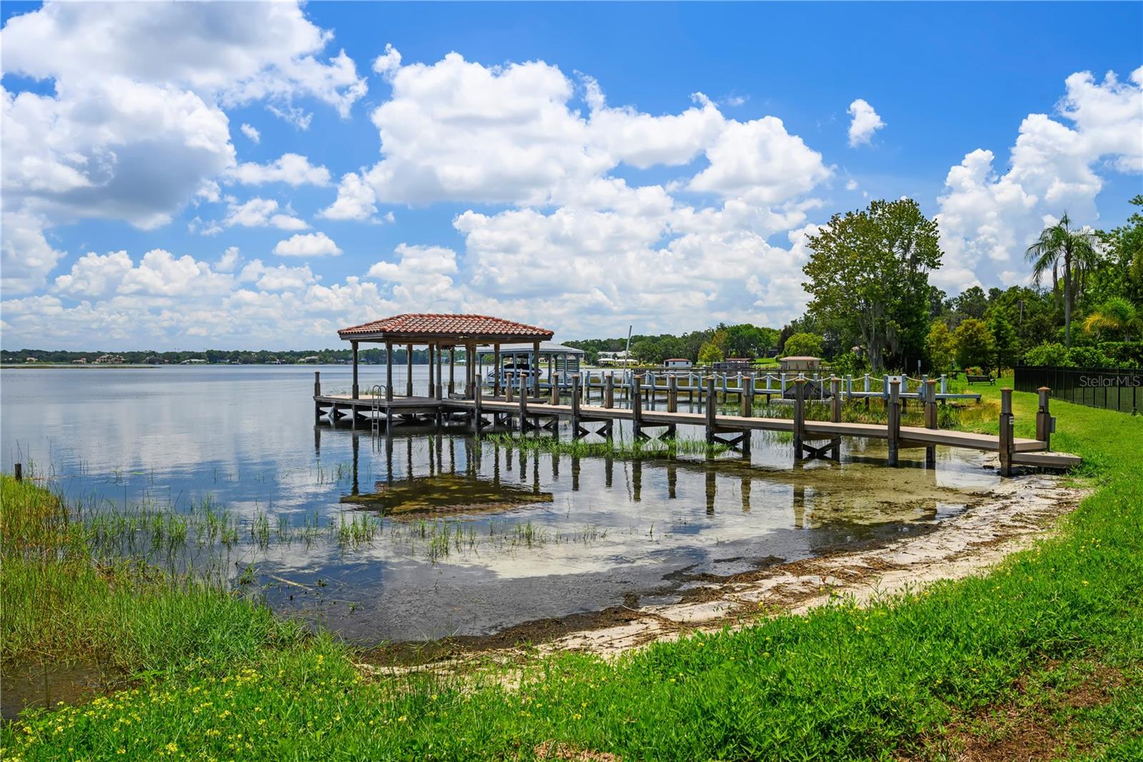 325 MAGNOLIA ST, WINDERMERE, FL, 34786