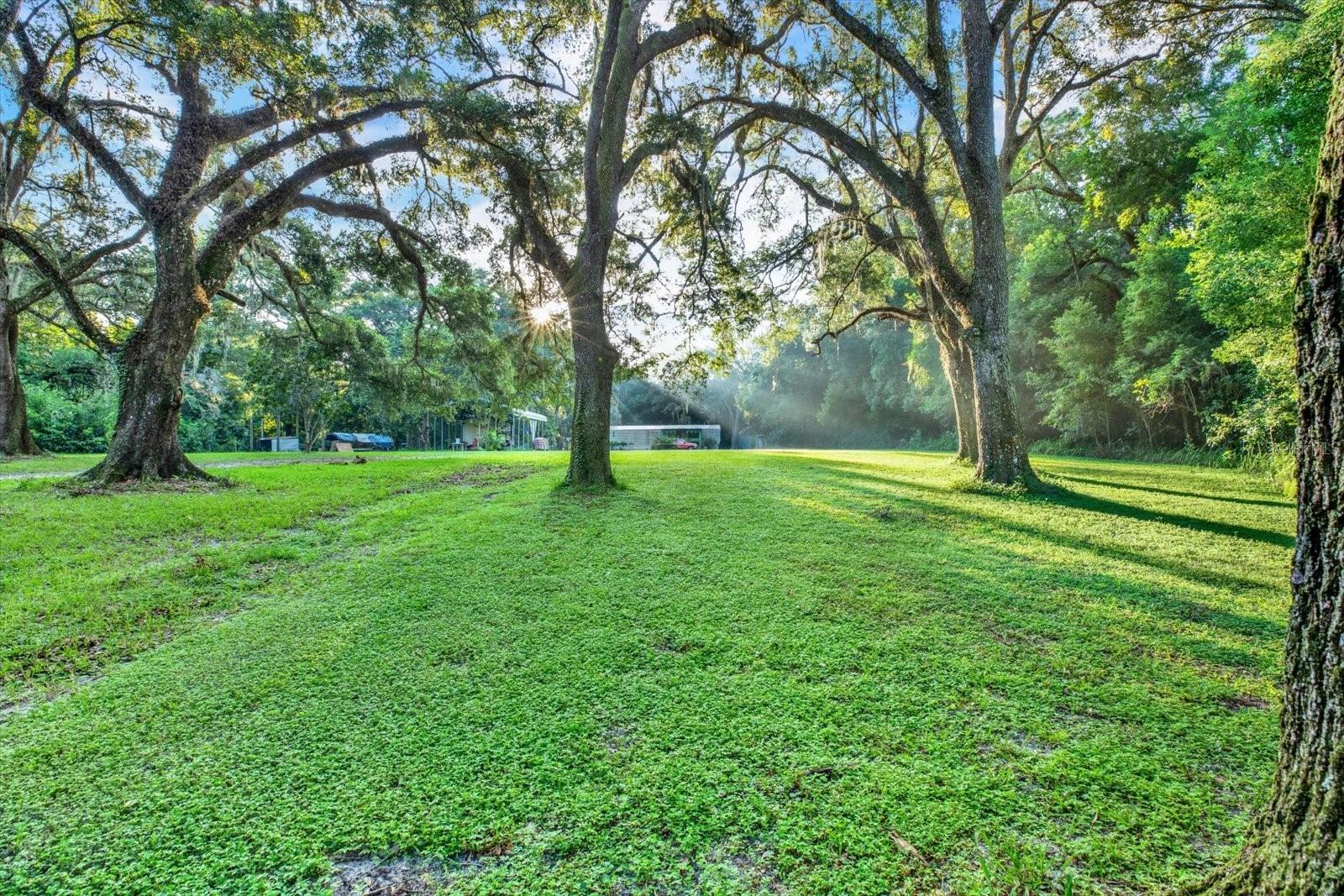 18218 RAILROAD RD, SPRING HILL, FL, 34610