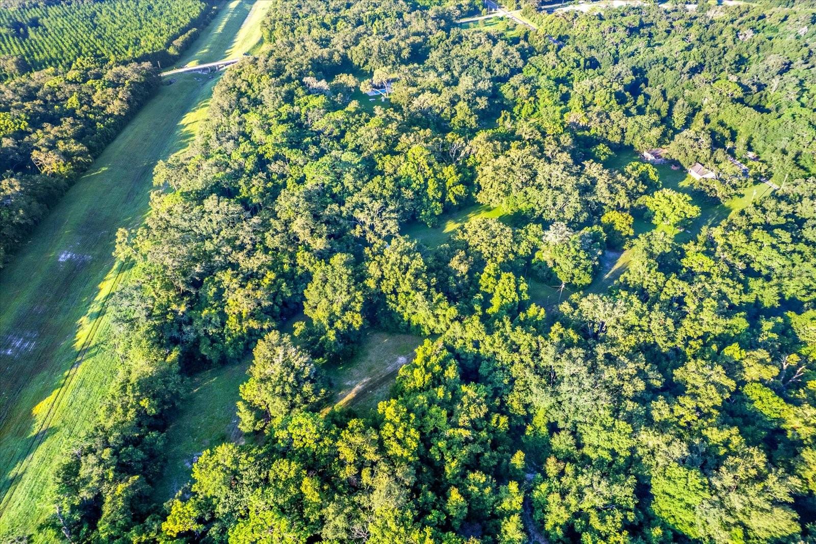 18218 RAILROAD RD, SPRING HILL, FL, 34610