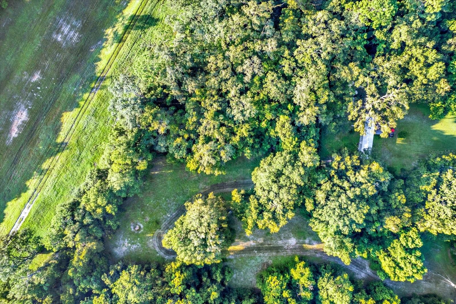 18218 RAILROAD RD, SPRING HILL, FL, 34610