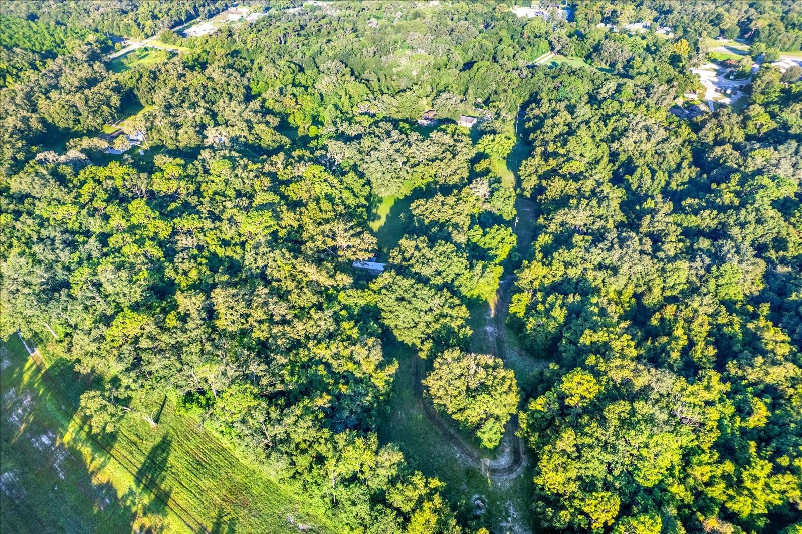 18218 RAILROAD RD, SPRING HILL, FL, 34610