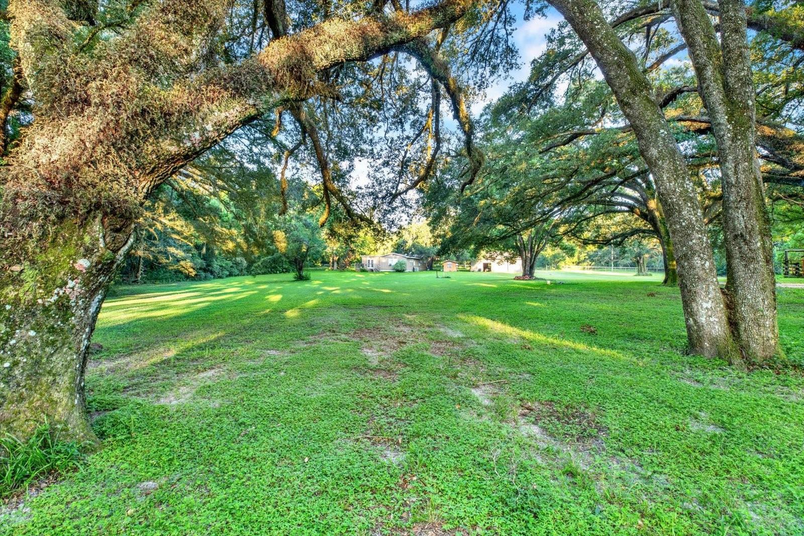18218 RAILROAD RD, SPRING HILL, FL, 34610