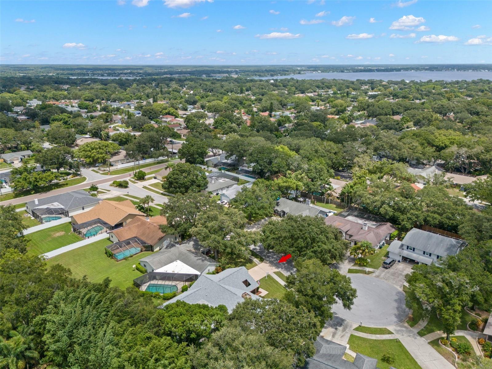 3045 KEVLYN CT, SAFETY HARBOR, FL, 34695