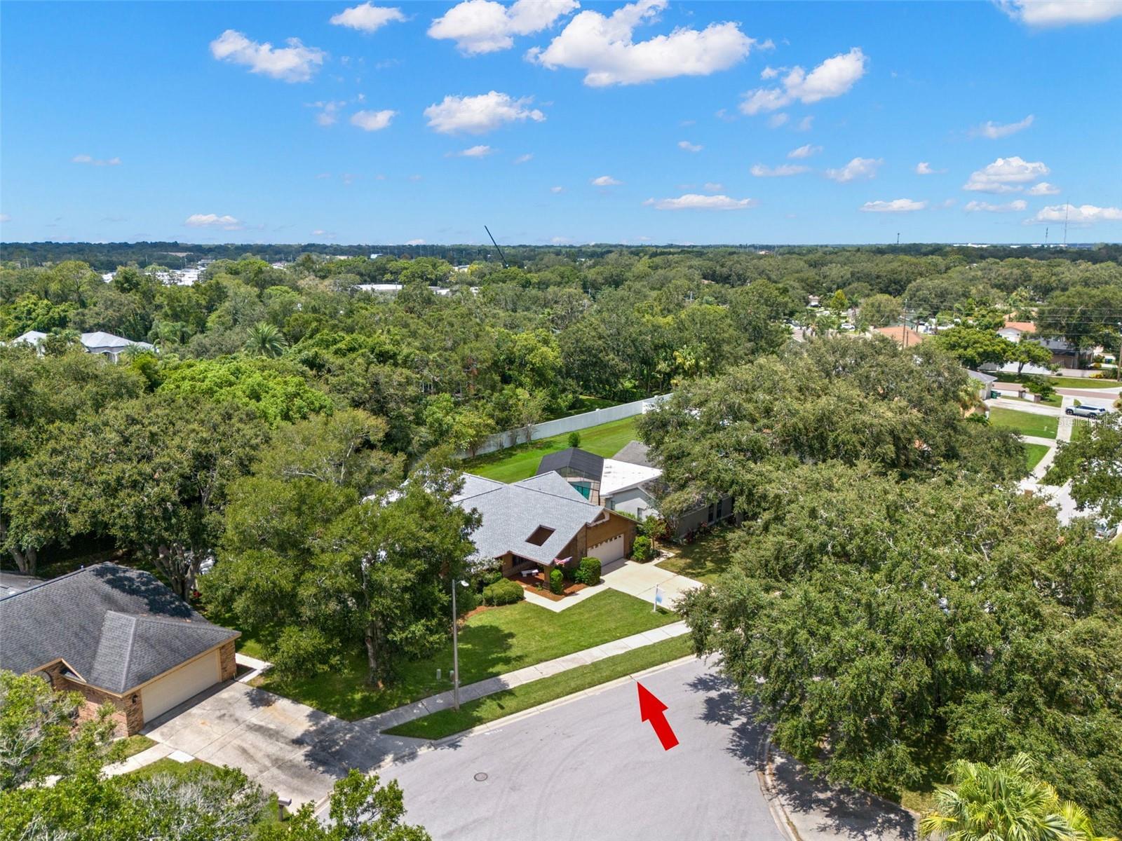 3045 KEVLYN CT, SAFETY HARBOR, FL, 34695