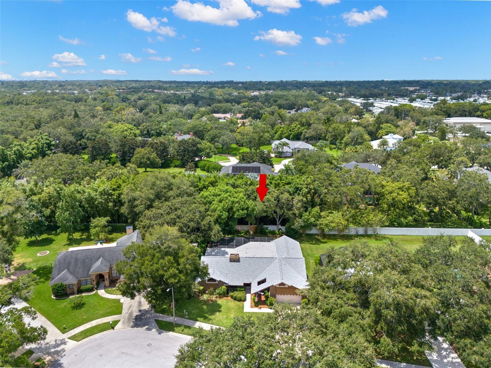 3045 KEVLYN CT, SAFETY HARBOR, FL, 34695