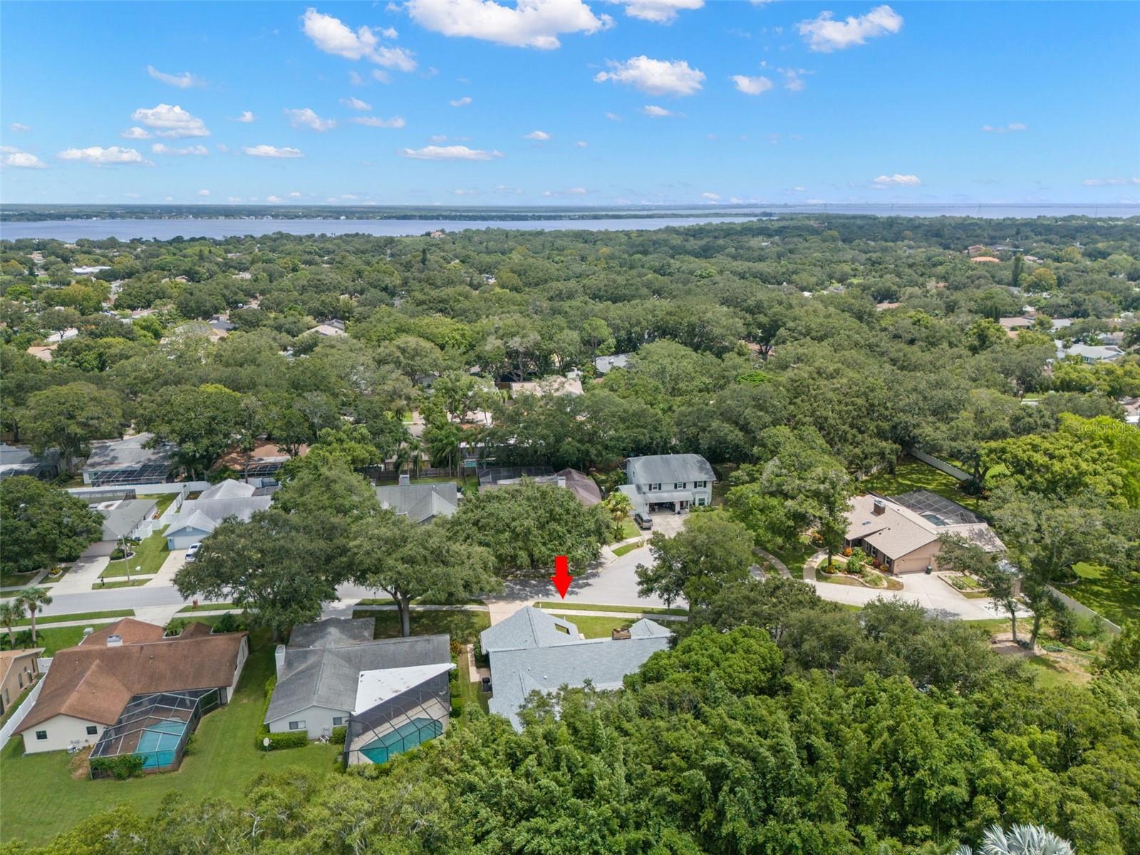3045 KEVLYN CT, SAFETY HARBOR, FL, 34695