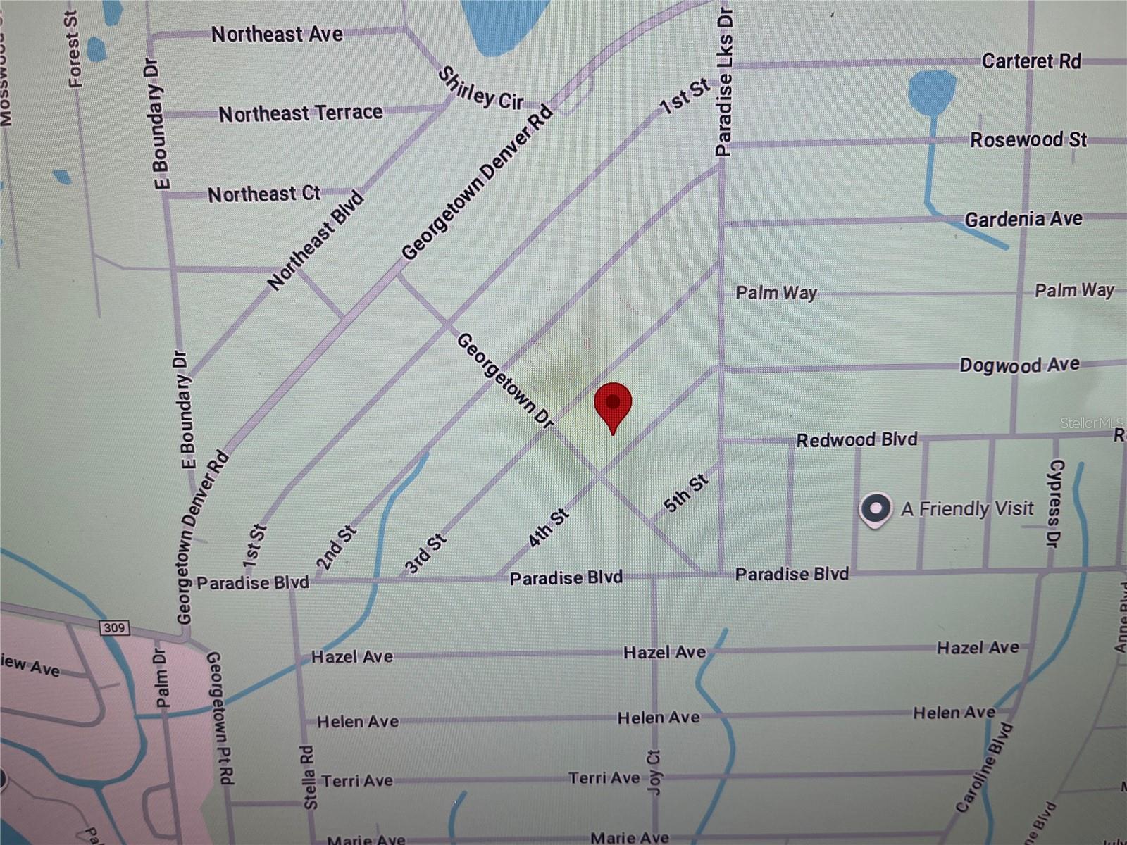 202 SE 4TH ST, GEORGETOWN, FL, 32139