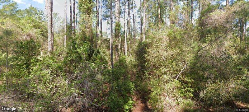 202 SE 4TH ST, GEORGETOWN, FL, 32139