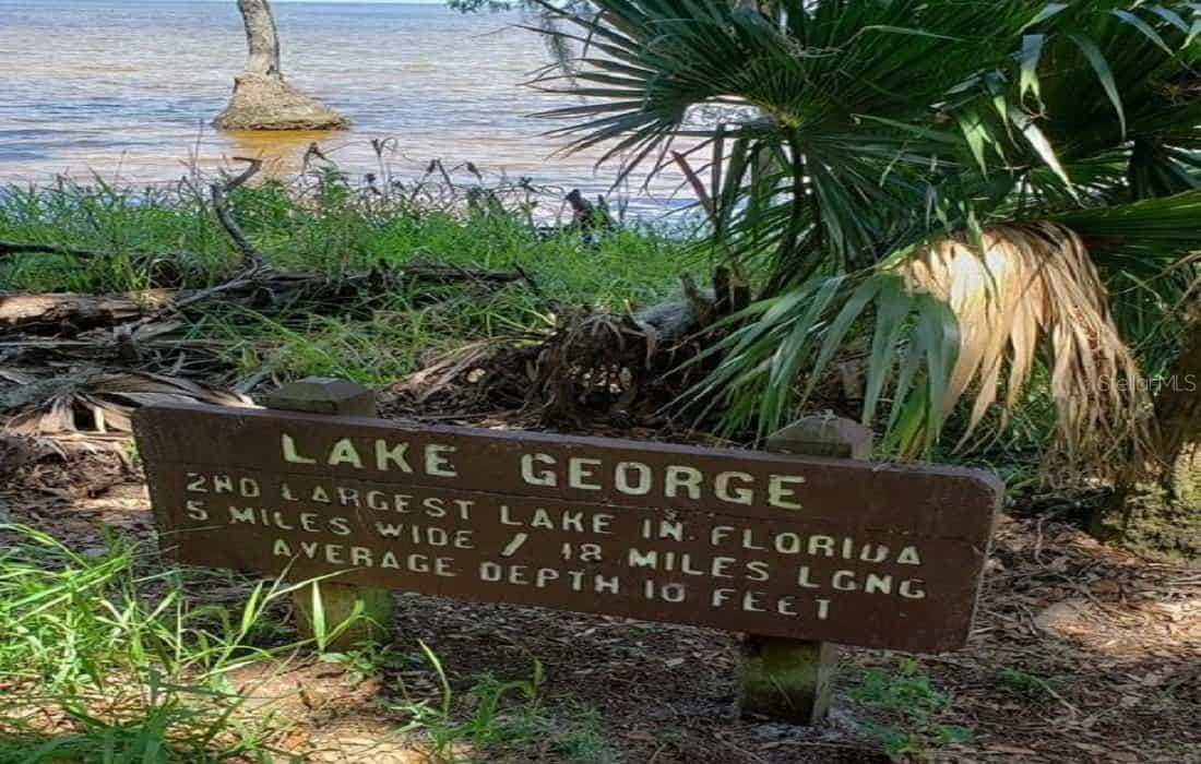 202 SE 4TH ST, GEORGETOWN, FL, 32139