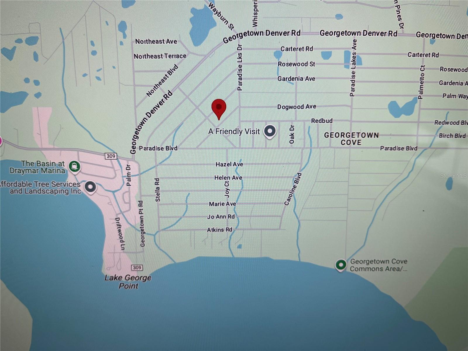 202 SE 4TH ST, GEORGETOWN, FL, 32139