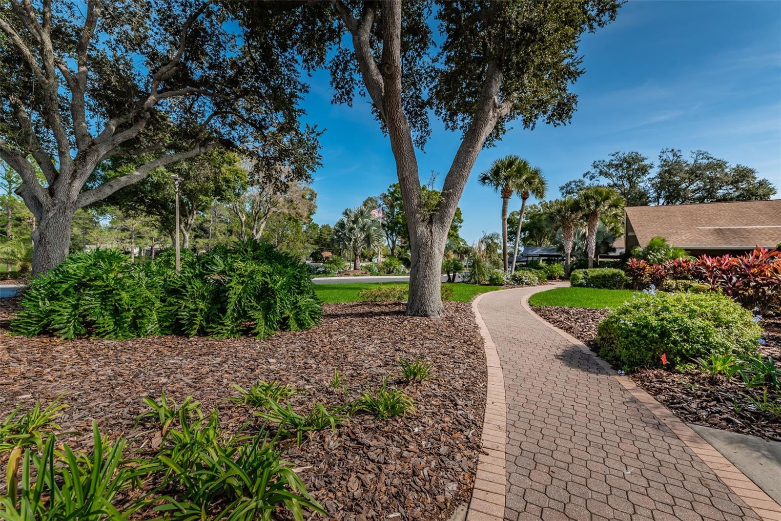 1109 TARTAN DR #C, PALM HARBOR, FL, 34684