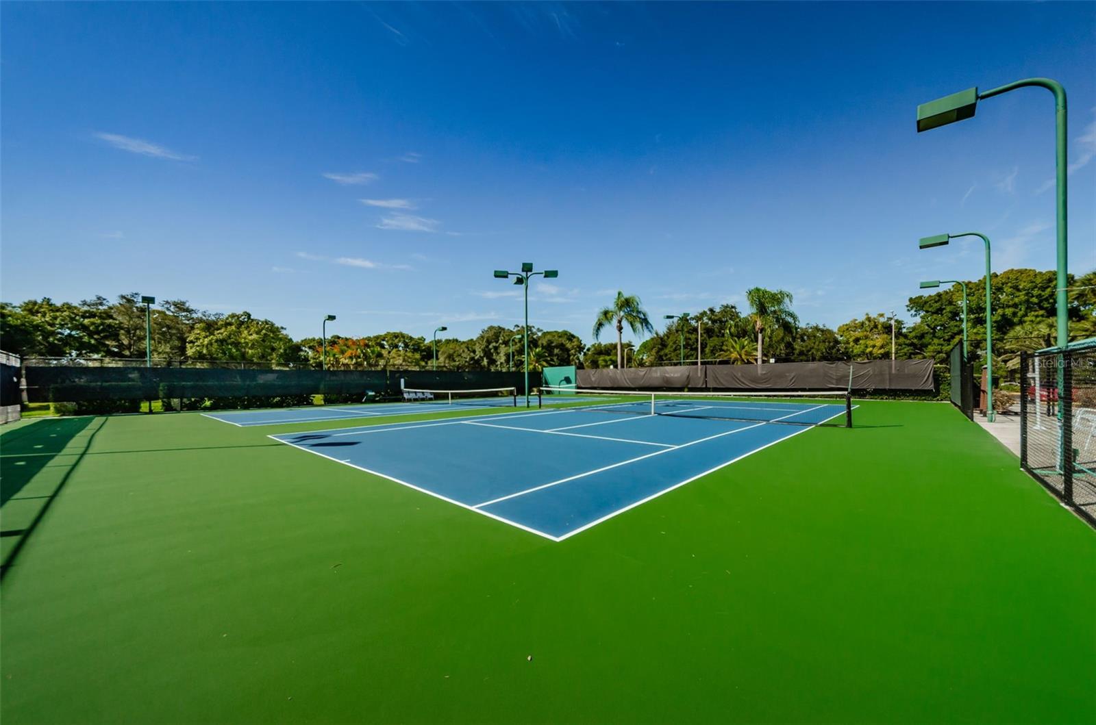 1109 TARTAN DR #C, PALM HARBOR, FL, 34684