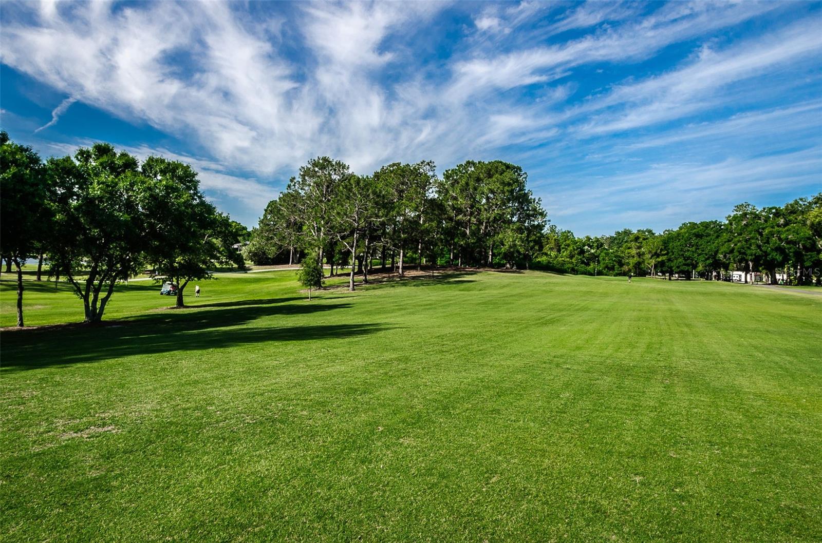 1109 TARTAN DR #C, PALM HARBOR, FL, 34684