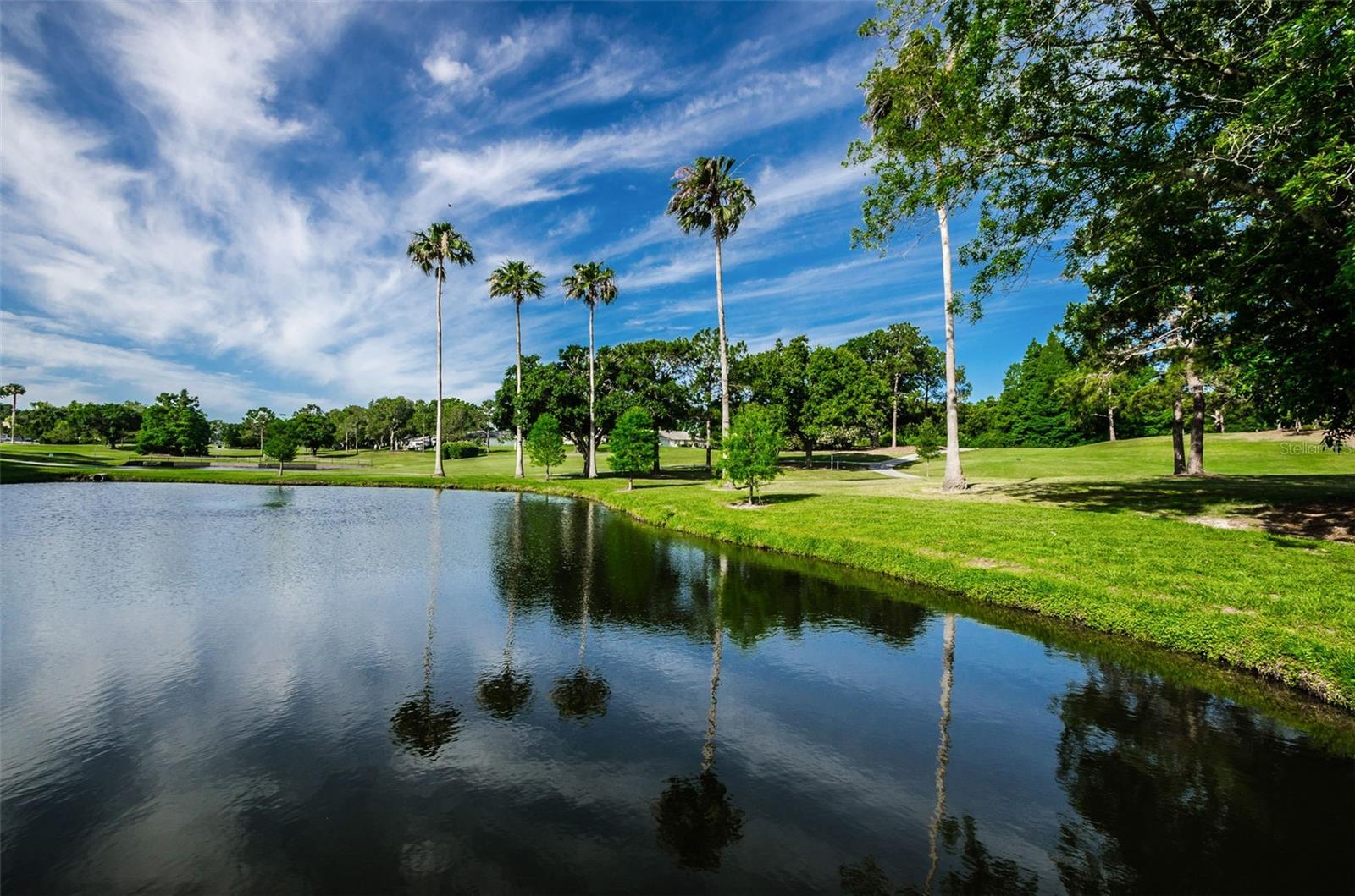 1109 TARTAN DR #C, PALM HARBOR, FL, 34684