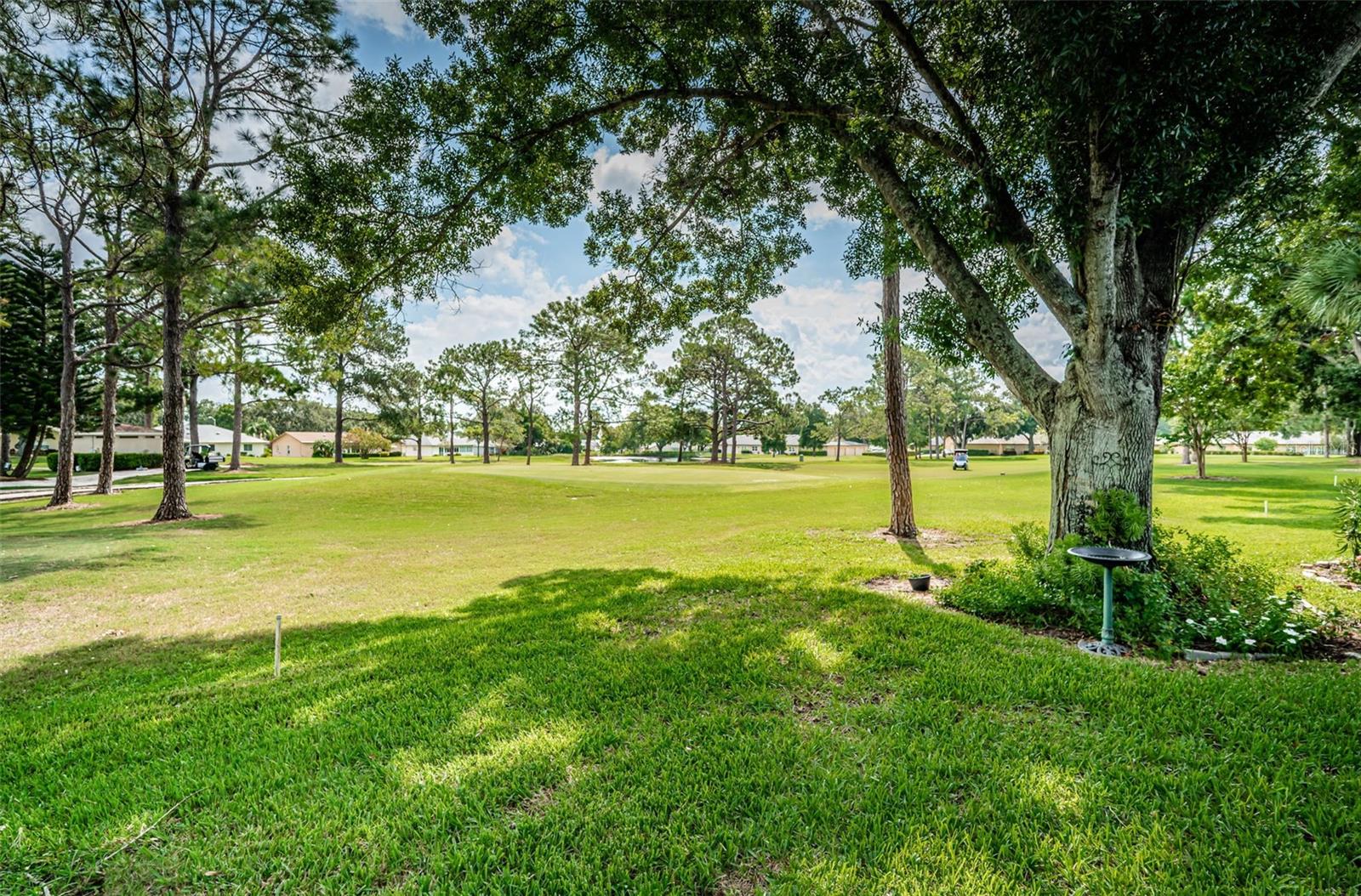 1109 TARTAN DR #C, PALM HARBOR, FL, 34684