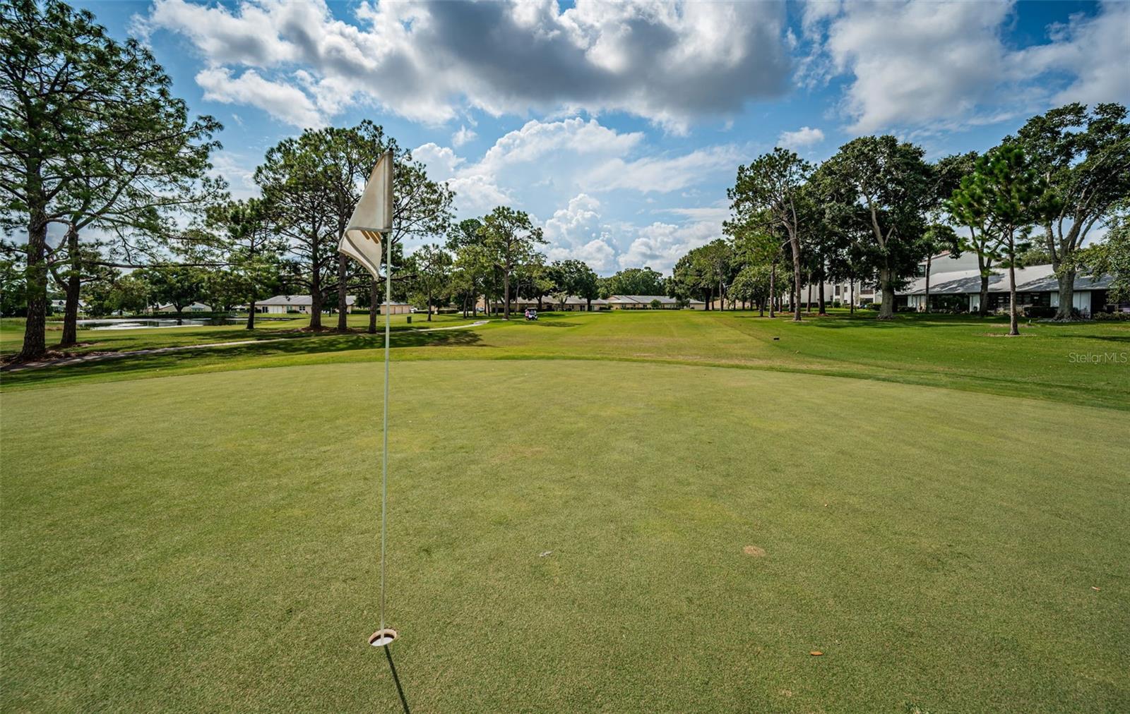1109 TARTAN DR #C, PALM HARBOR, FL, 34684