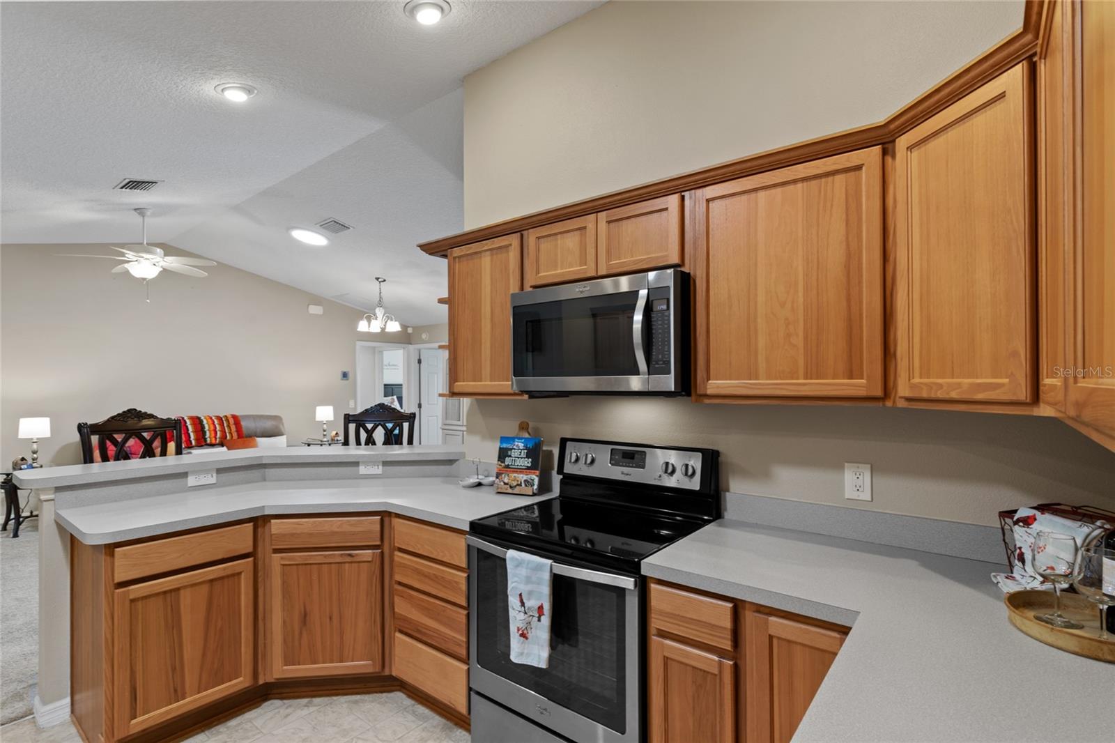 736 JONES LN, THE VILLAGES, FL, 32163