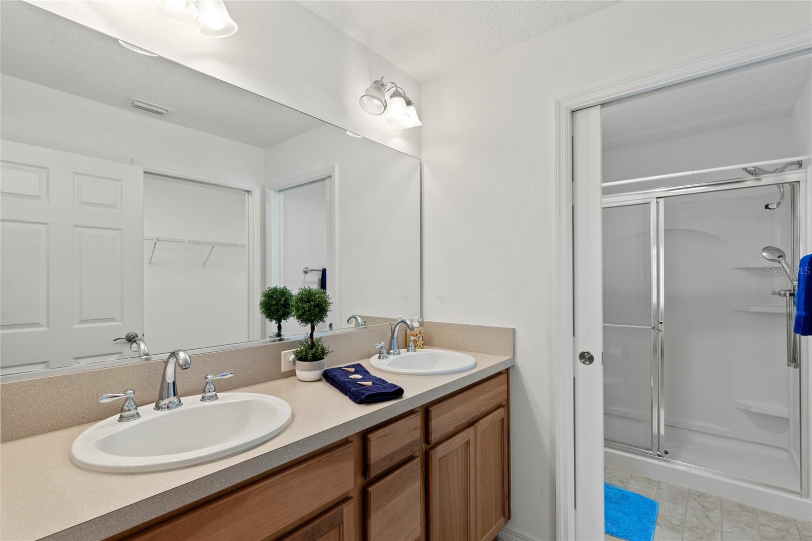 736 JONES LN, THE VILLAGES, FL, 32163