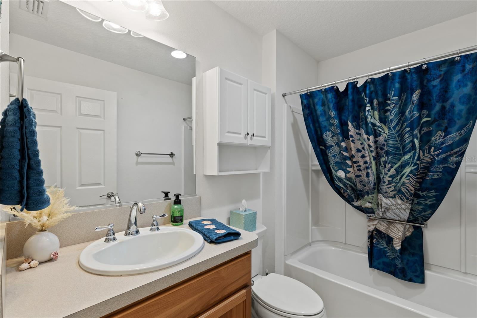 736 JONES LN, THE VILLAGES, FL, 32163