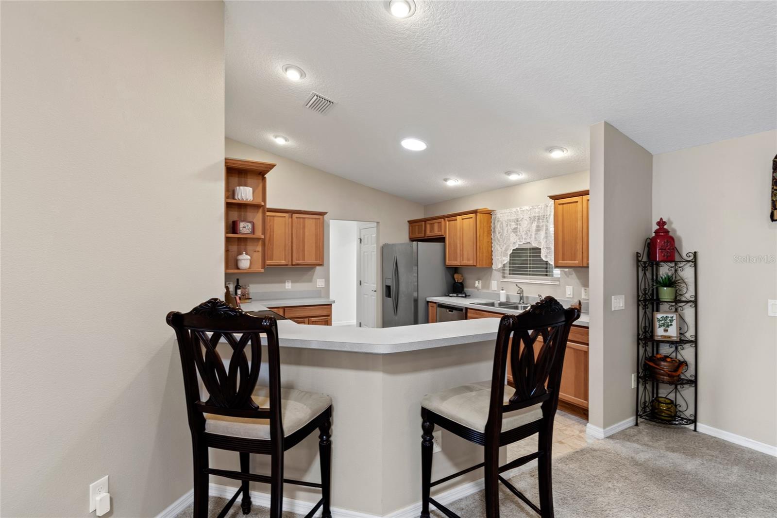 736 JONES LN, THE VILLAGES, FL, 32163