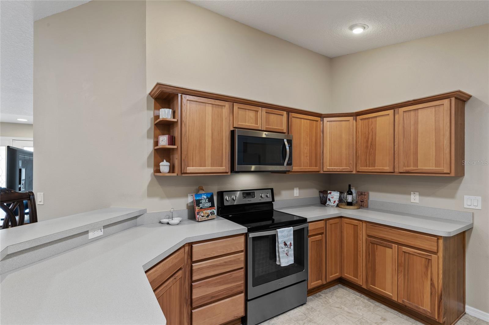 736 JONES LN, THE VILLAGES, FL, 32163
