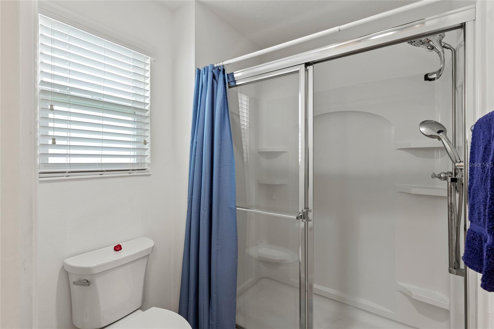 736 JONES LN, THE VILLAGES, FL, 32163