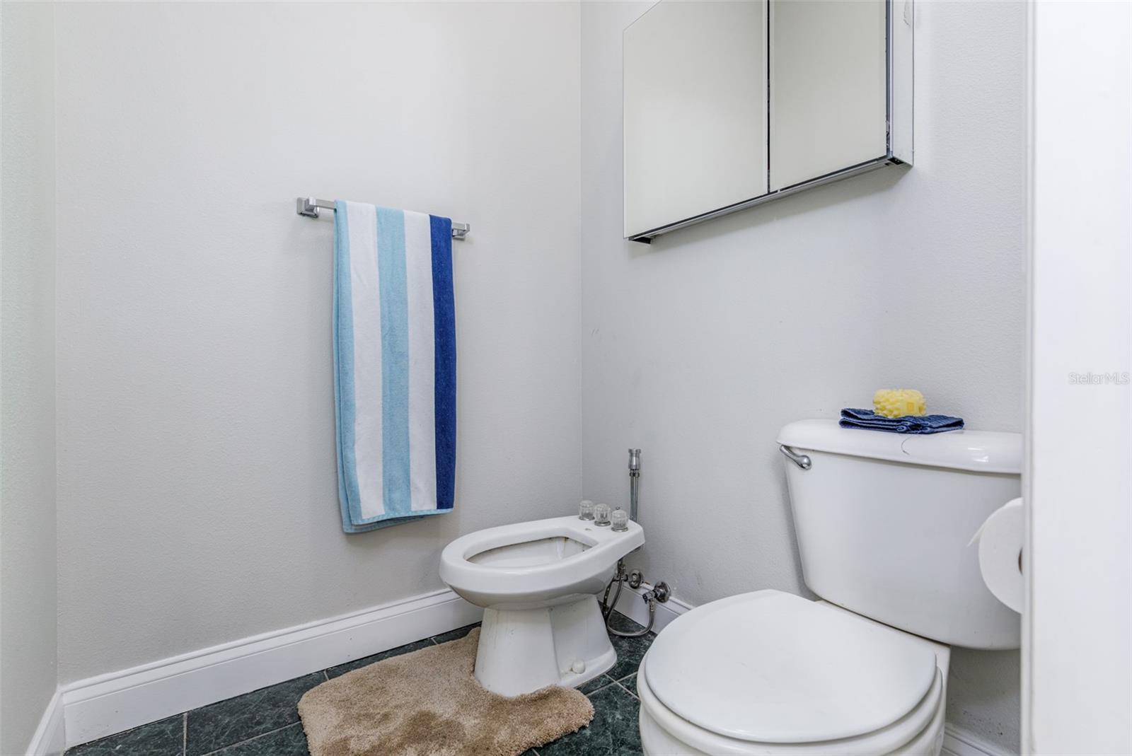 12880 SW 66TH ST, OCALA, FL, 34481