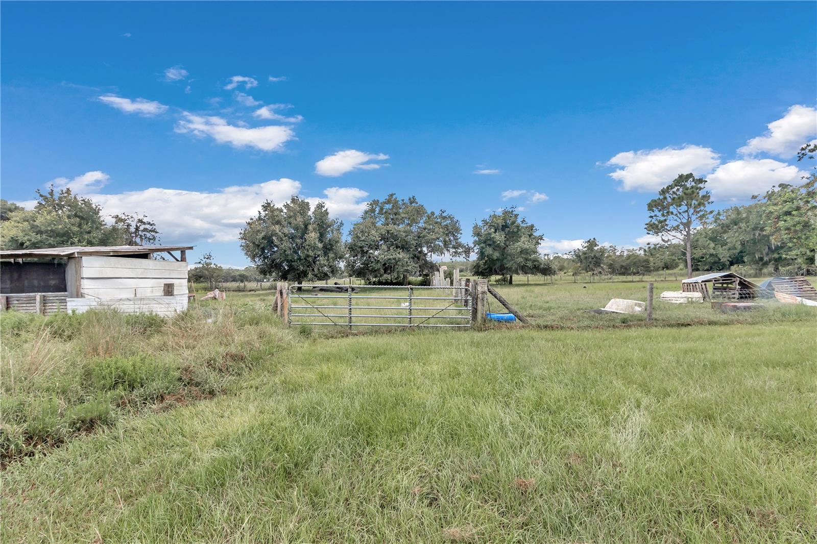 36800 MILL CREEK RD, EUSTIS, FL, 32736