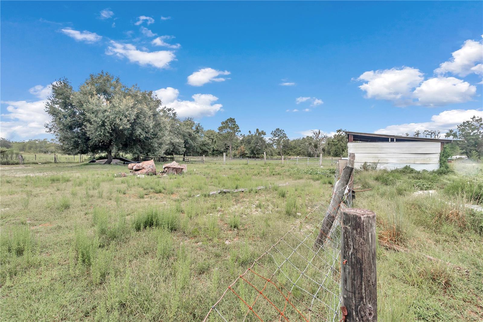 36800 MILL CREEK RD, EUSTIS, FL, 32736